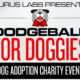 Dodgeball for Dogs