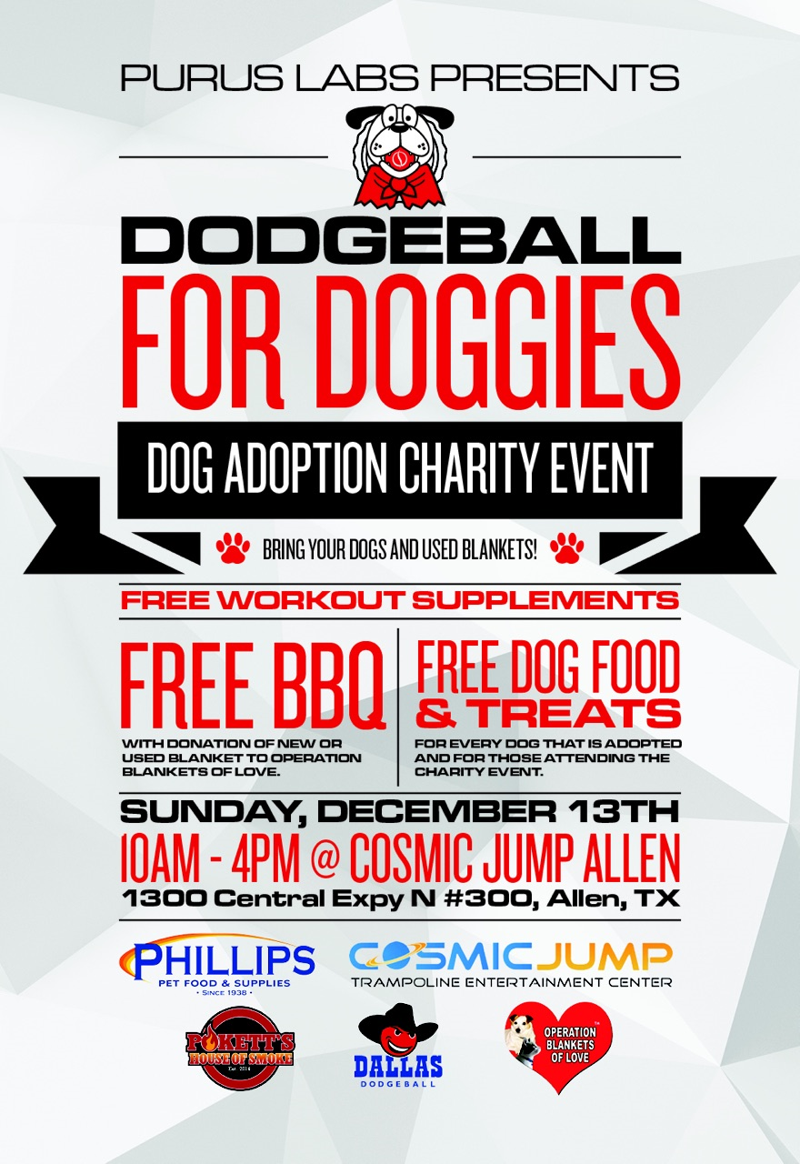 Dodgeball for Doggies